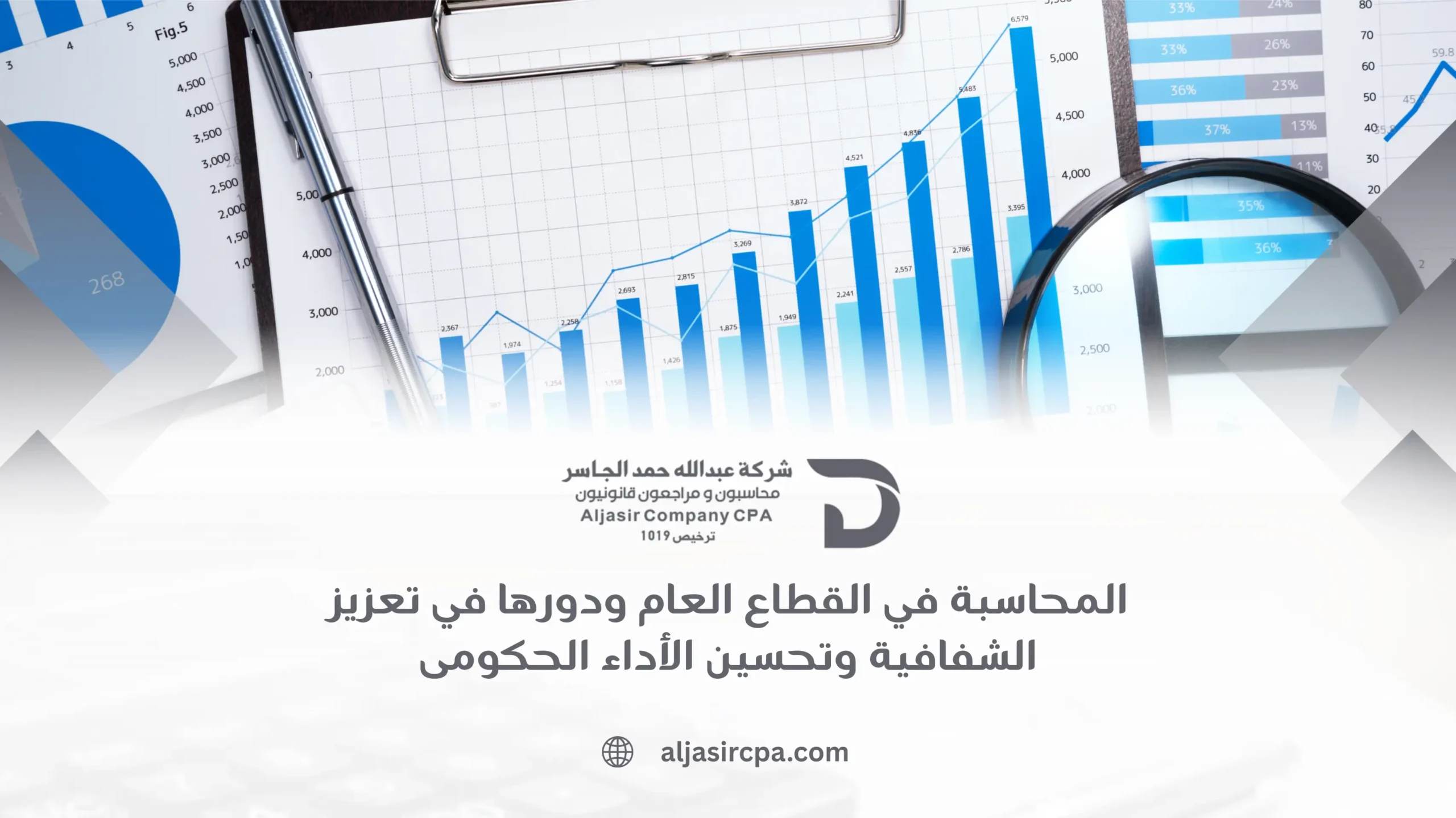 المحاسبة في القطاع العام